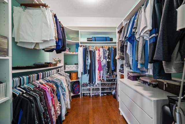 walk in closet featuring dark wood-style floors