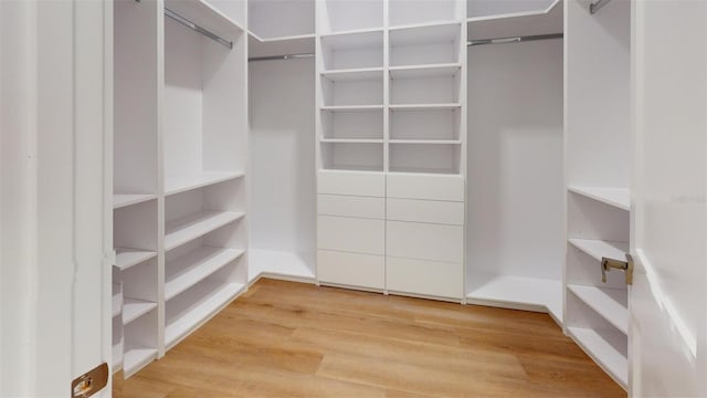 walk in closet with light wood finished floors