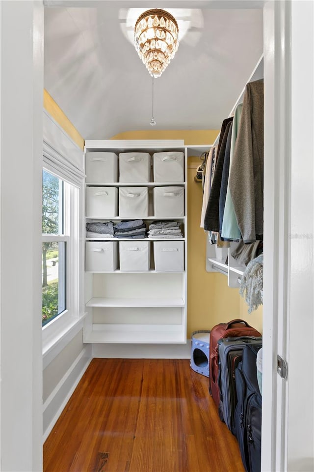 walk in closet with wood finished floors