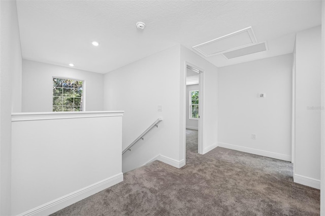 7125 6th Ave N, Saint Petersburg, FL 33710 - photo 26