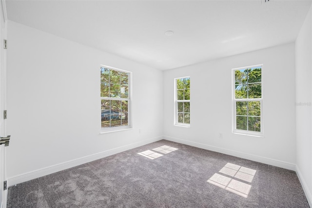 7125 6th Ave N, Saint Petersburg, FL 33710 - photo 32