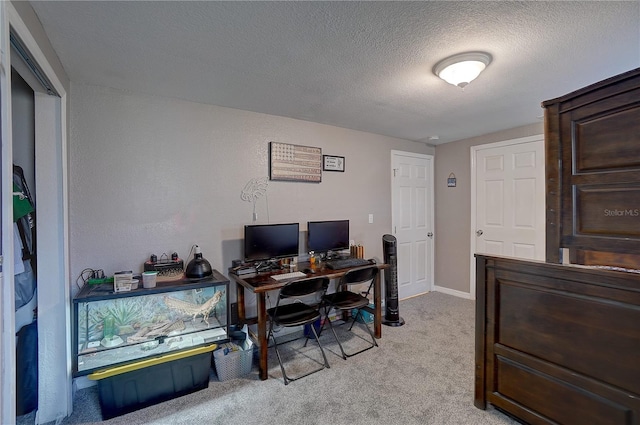 office featuring light carpet, baseboards, and a textured ceiling