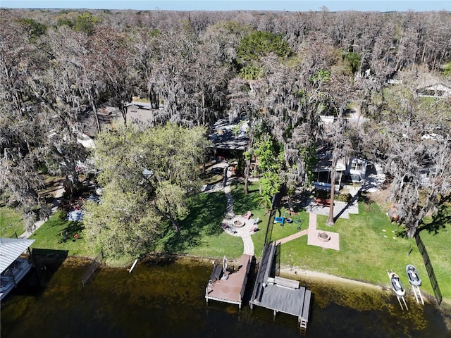 drone / aerial view featuring a water view and a view of trees