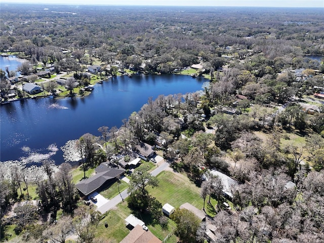 bird's eye view with a water view and a view of trees