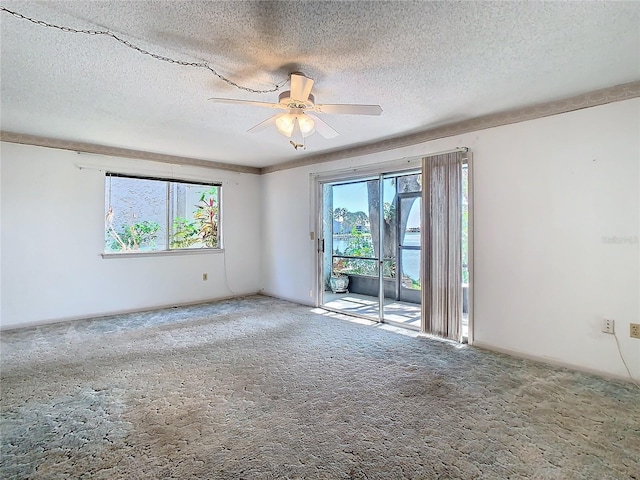6323 Newtown Cir Unit 23A1, Tampa, FL 33615 - photo 8