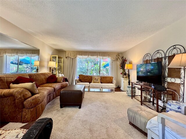 2630 Pearce Dr Unit 107, Clearwater, FL 33764 - carpeted living room with a textured ceiling