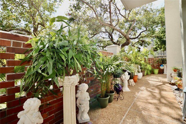 2630 Pearce Dr Unit 107, Clearwater, FL 33764 - view of patio