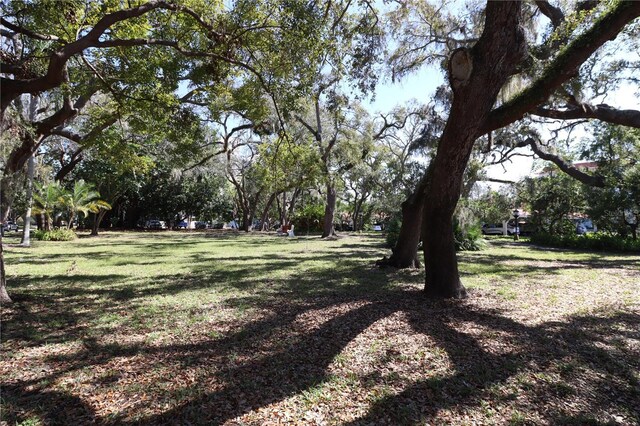 2630 Pearce Dr Unit 107, Clearwater, FL 33764 - view of yard