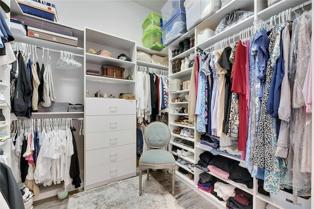 walk in closet with wood finished floors