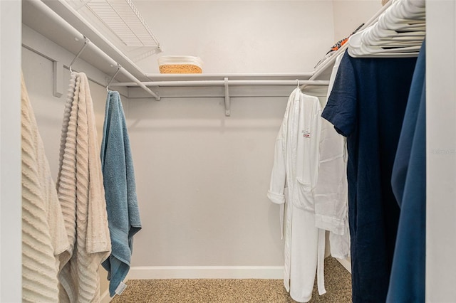 spacious closet with carpet floors