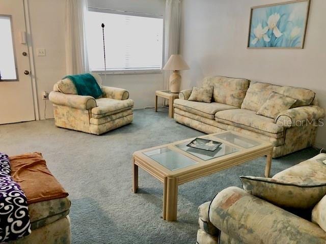 living room with carpet