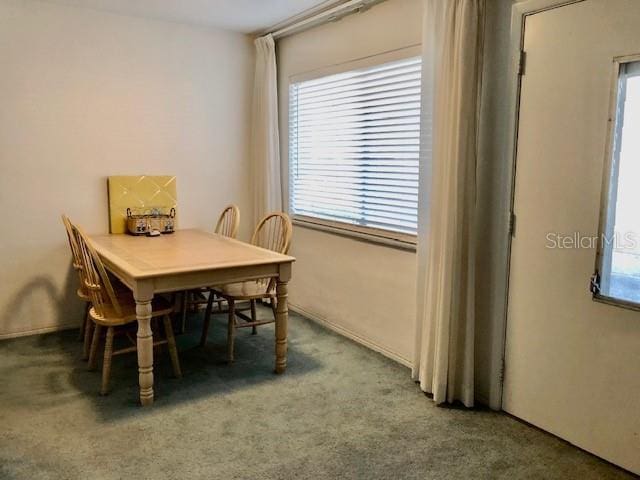 dining area with carpet