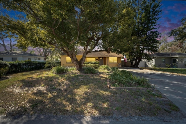 ranch-style house with driveway, stucco siding, and a front yard