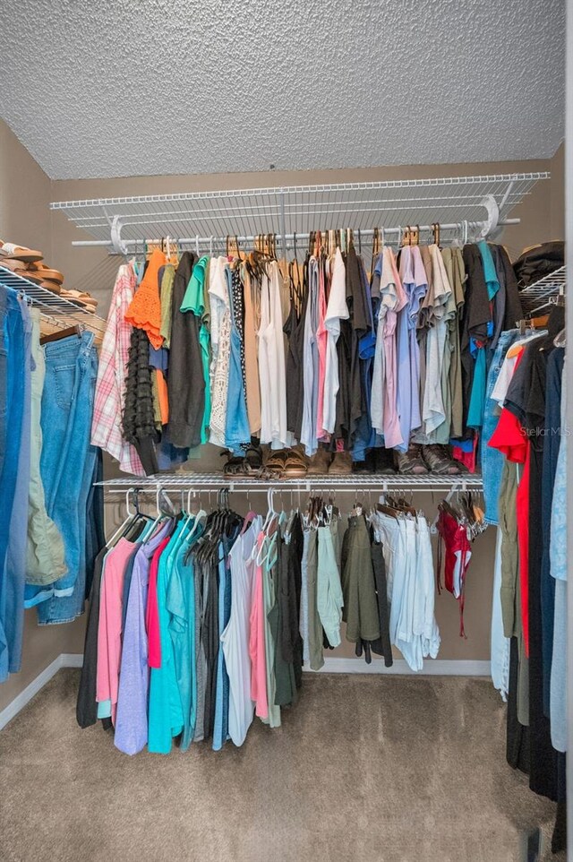 spacious closet with carpet