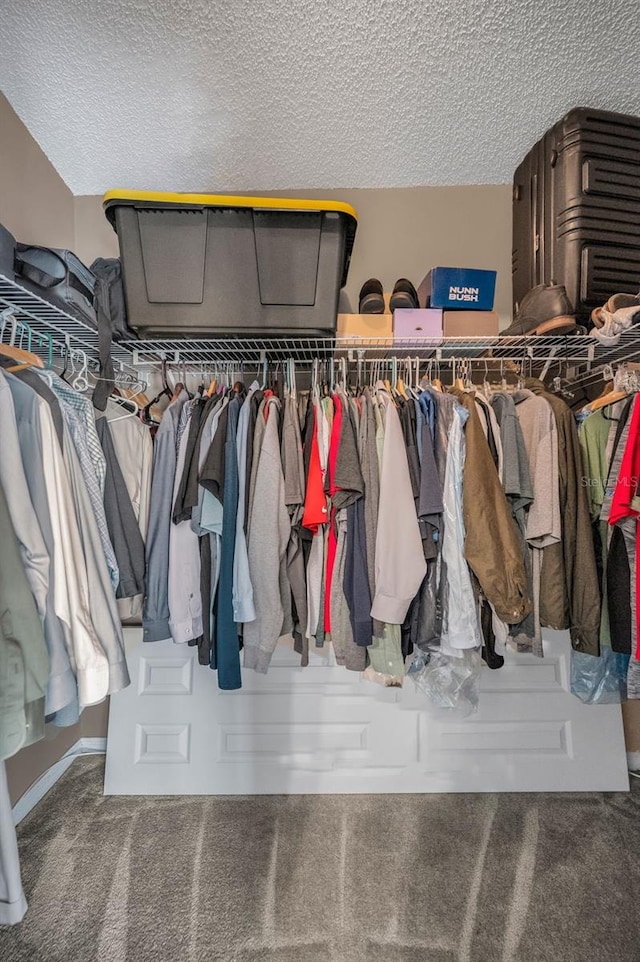 walk in closet with carpet