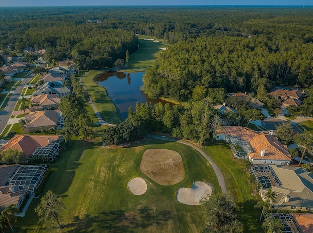 birds eye view of property with a water view and a forest view