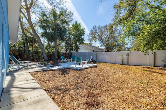 view of yard with a patio area and a fenced backyard