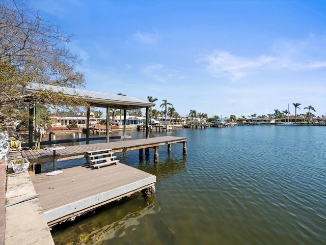 dock area with a water view