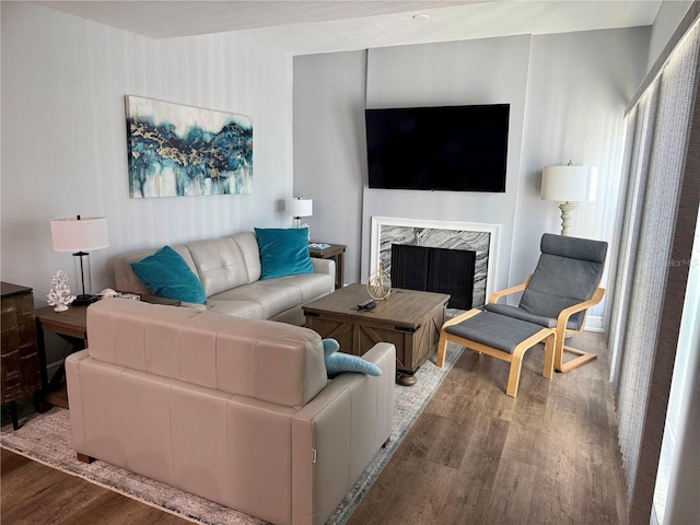 living room featuring a fireplace and wood finished floors