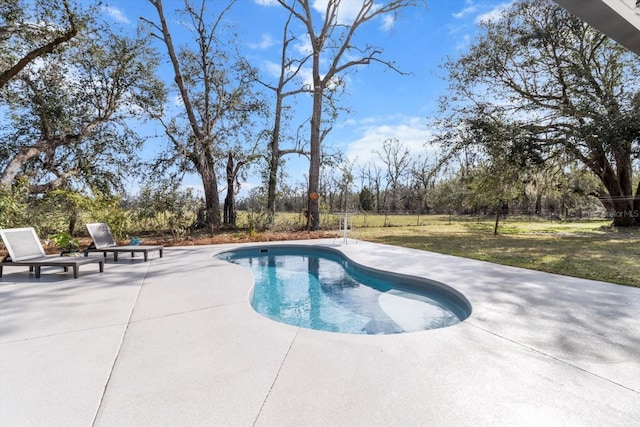 outdoor pool featuring a lawn and a patio area