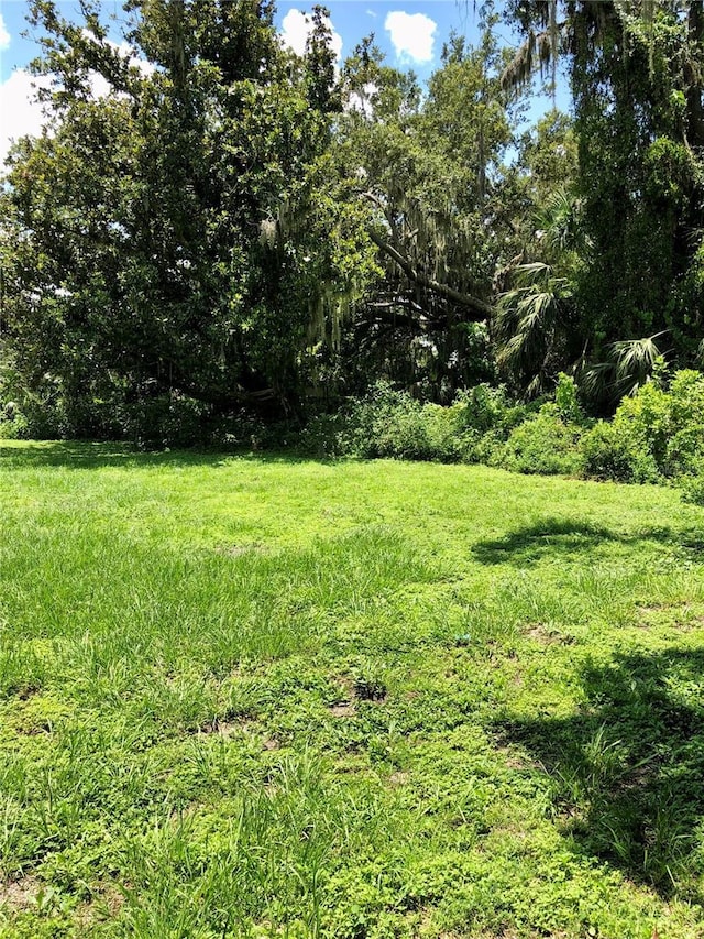 6205 Brandon Cir, Riverview, FL 33578 - photo 6