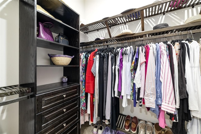 view of spacious closet