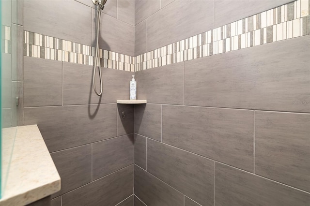 interior details with tiled shower