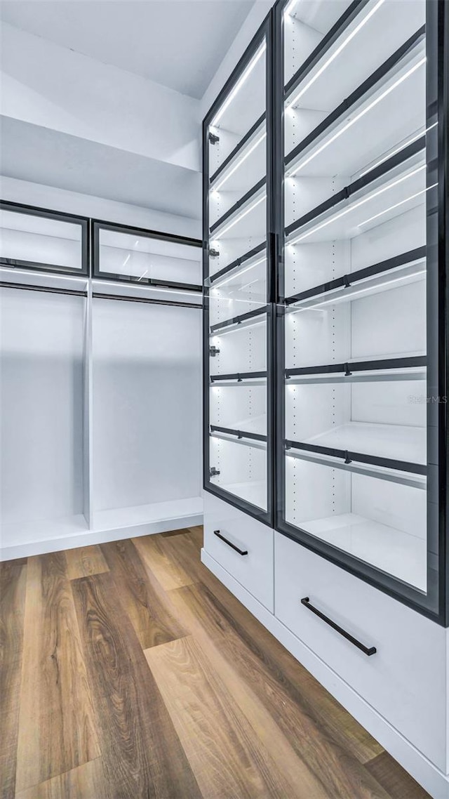 855 Bayway Blvd Unit 105, Clearwater, FL 33767 - spacious closet with dark wood-type flooring