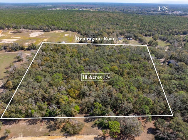 Remington Rd, Brooksville FL, 34602 land for sale