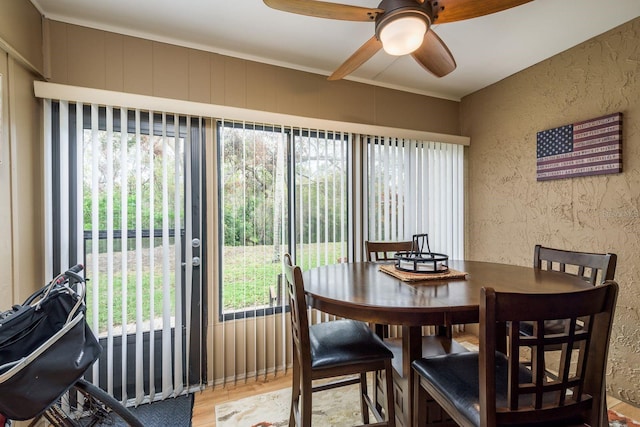 dining room featuring a textured wall, light wood finished floors, and a ceiling fan