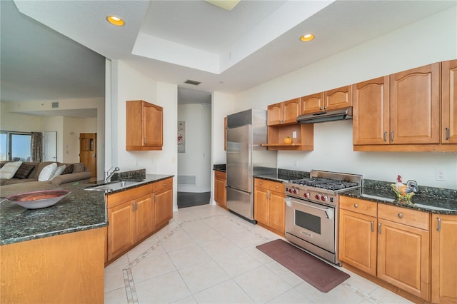 kitchen with premium appliances, brown cabinetry, a sink, and under cabinet range hood