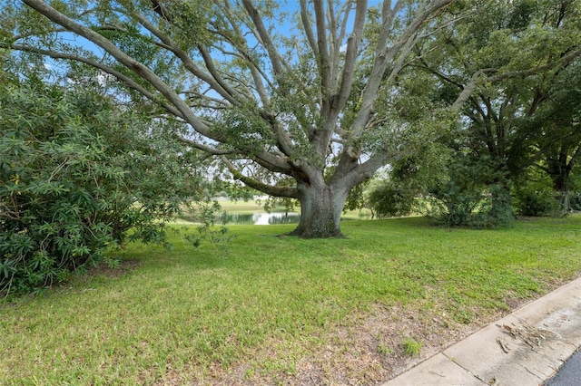 view of yard featuring a water view