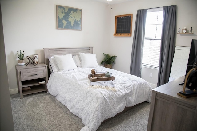 bedroom featuring carpet floors and multiple windows