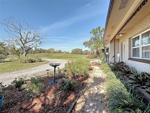 4100 Narvarez Way S, Saint Petersburg, FL 33712 - view of yard