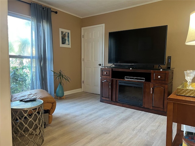 4100 Narvarez Way S, Saint Petersburg, FL 33712 - living area with light wood-style flooring, ornamental molding, healthy amount of natural light, and baseboards