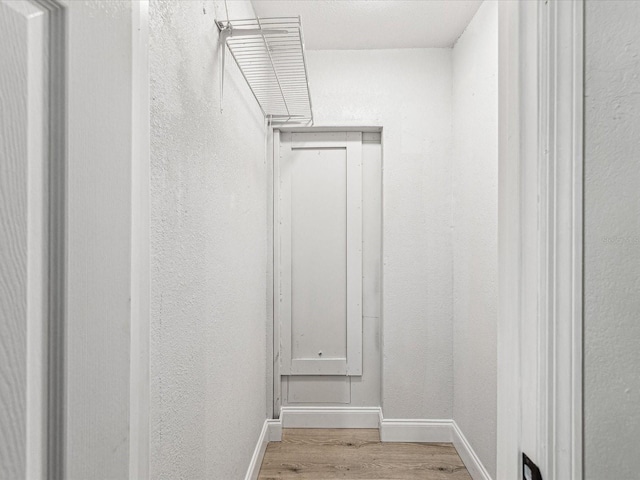 spacious closet with light wood-style flooring