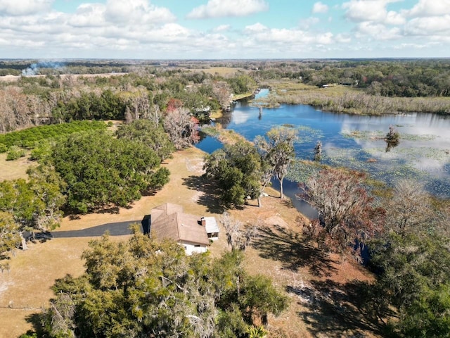 aerial view with a water view and a view of trees