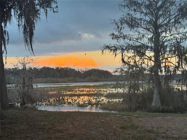 yard at dusk with a water view