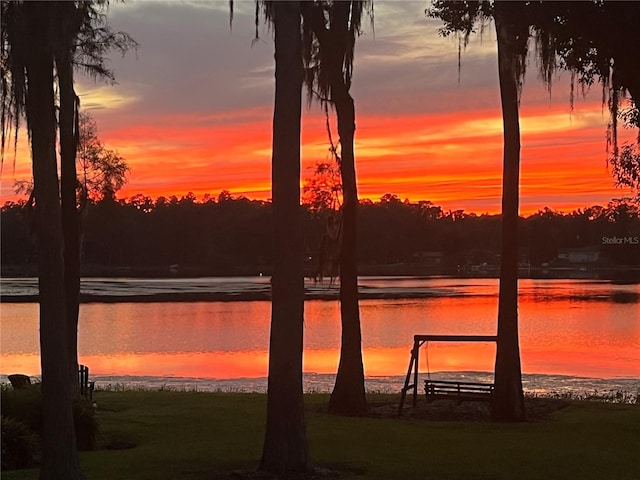 property view of water