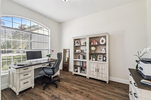 1301 Jen Ma Jo Ln, Lutz, FL 33549 - office featuring plenty of natural light and dark wood-type flooring