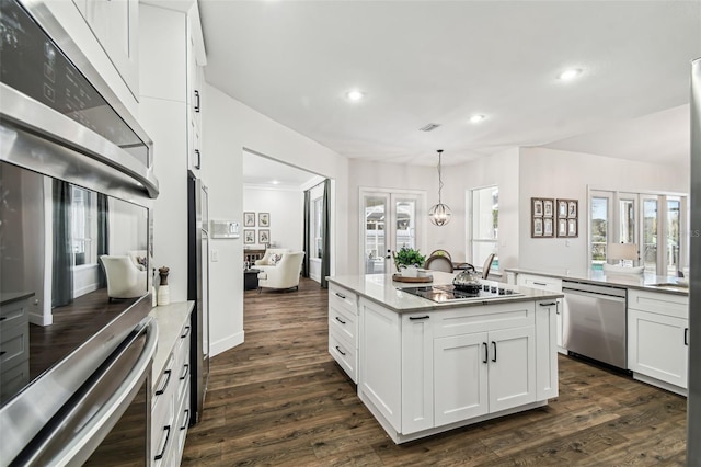 1301 Jen Ma Jo Ln, Lutz, FL 33549 - kitchen with appliances with stainless steel finishes, recessed lighting, dark wood-type flooring, a center island, and white cabinetry