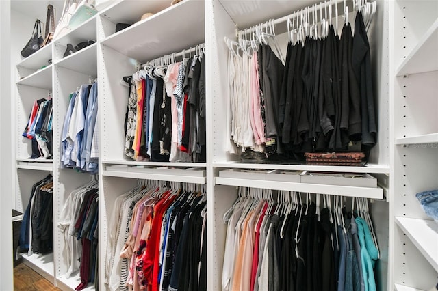 1301 Jen Ma Jo Ln, Lutz, FL 33549 - walk in closet featuring wood finished floors