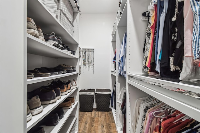 1301 Jen Ma Jo Ln, Lutz, FL 33549 - walk in closet with wood finished floors