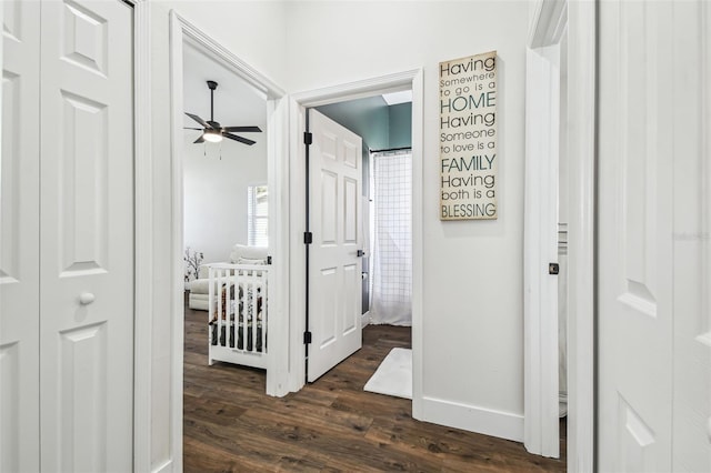 1301 Jen Ma Jo Ln, Lutz, FL 33549 - hall featuring dark wood-style floors and baseboards
