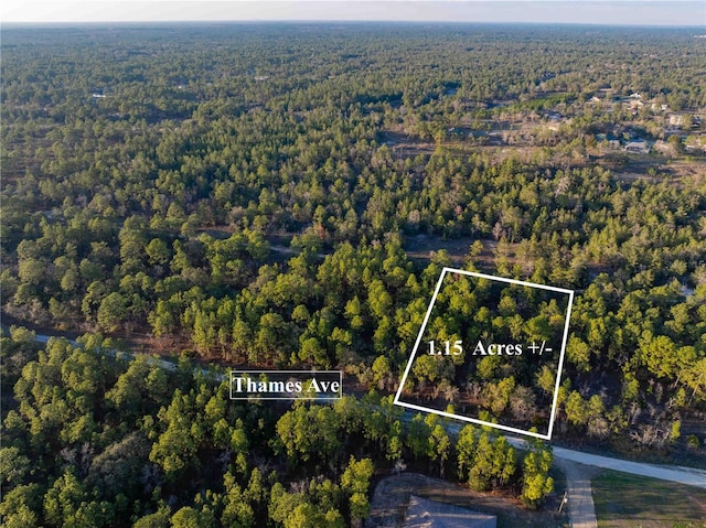 11465 Thames Ave, Weeki Wachee FL, 34614 land for sale