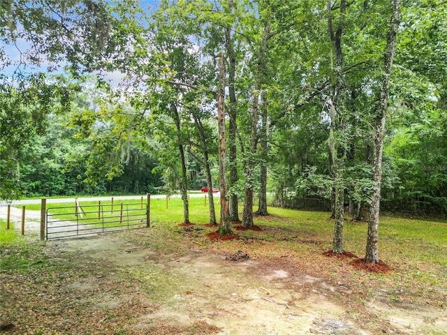 view of yard with a gate