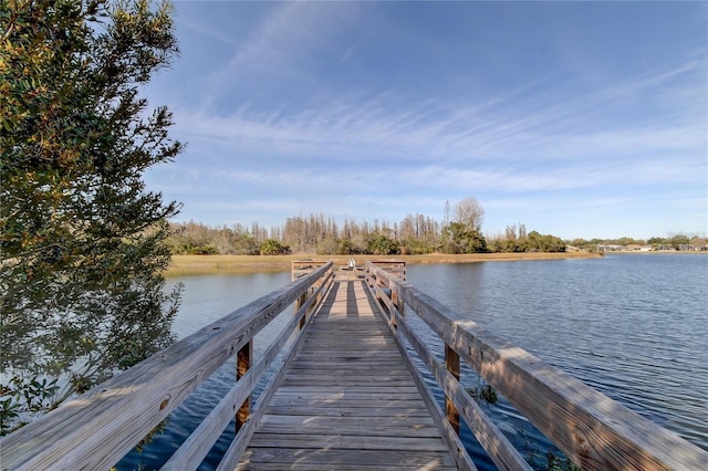 dock area with a water view