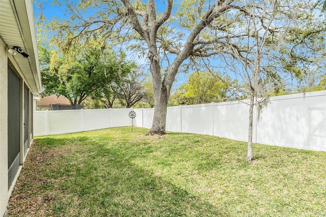 25325 Welsh Poppy Way, Land O Lakes, FL 34639 - view of yard