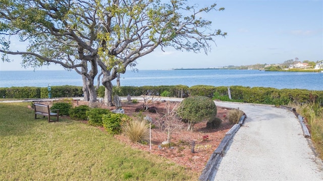 view of property's community featuring a water view and a lawn