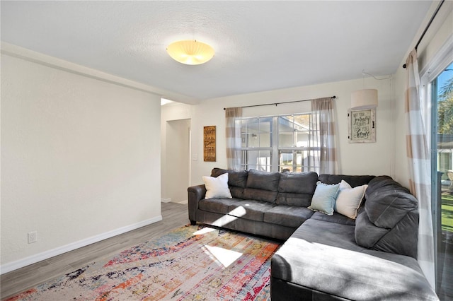 living room featuring baseboards, wood finished floors, and a healthy amount of sunlight